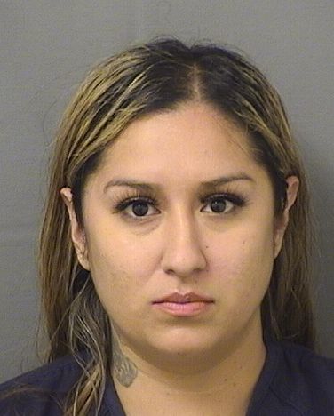  ADRIANA OLIVIA BENTANCOURT Results from Palm Beach County Florida for  ADRIANA OLIVIA BENTANCOURT