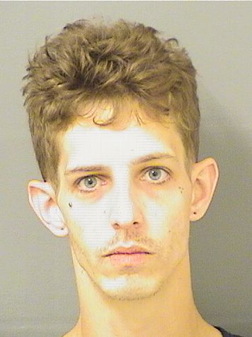  JOHN DAKOTA RYAN Results from Palm Beach County Florida for  JOHN DAKOTA RYAN