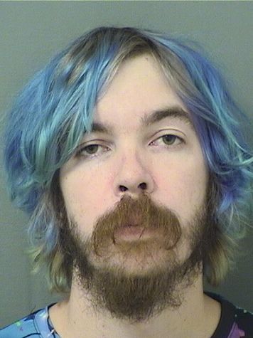  DONAL ROBERT DILLON Results from Palm Beach County Florida for  DONAL ROBERT DILLON