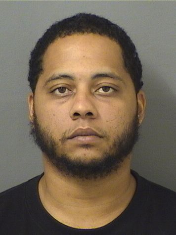  DAVID E III ALICEA Results from Palm Beach County Florida for  DAVID E III ALICEA