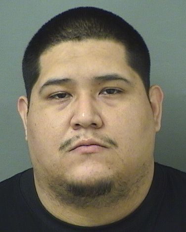  FRANSISCO JUAN MENDOZA Results from Palm Beach County Florida for  FRANSISCO JUAN MENDOZA