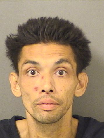  MICHAEL MATTWANUKULBELTZER Results from Palm Beach County Florida for  MICHAEL MATTWANUKULBELTZER