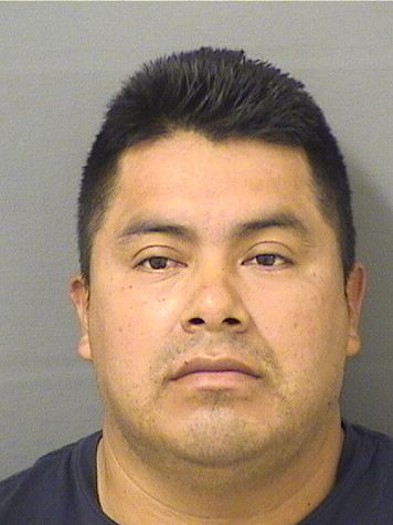  PEDRO SEBASTIA ESTEBANGASPAR Photo For  PEDRO SEBASTIA ESTEBANGASPAR