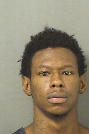  JAMAL RODNEY PIERROT Results from Palm Beach County Florida for  JAMAL RODNEY PIERROT