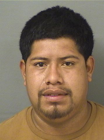 USVALDO LOPEZPEREZ Results from Palm Beach County Florida for USVALDO LOPEZPEREZ USVALDO LOPEZPEREZ Results from Palm Beach County Florida for USVALDO LOPEZPEREZ