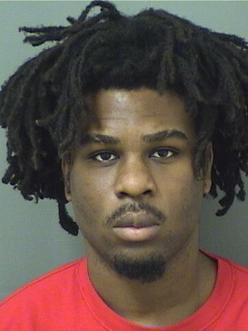  ENNIS VEILLARD Results from Palm Beach County Florida for  ENNIS VEILLARD