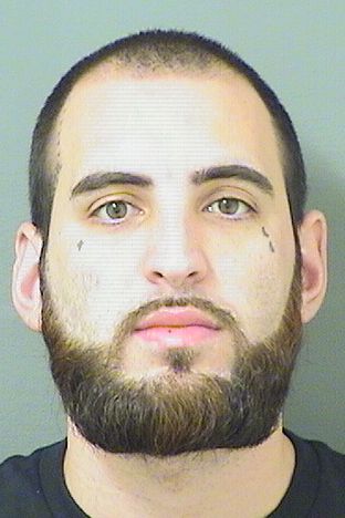  DYLAN JOHN BLAKE Results from Palm Beach County Florida for  DYLAN JOHN BLAKE