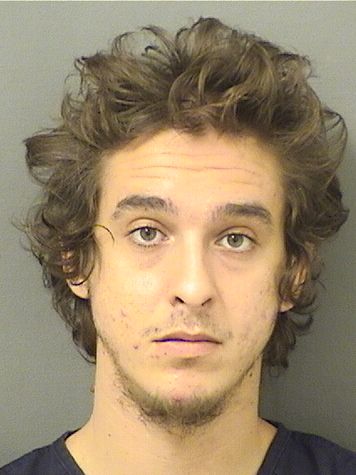  SEBASTIAN BARON SHARE LUCOVICH Results from Palm Beach County Florida for  SEBASTIAN BARON SHARE LUCOVICH