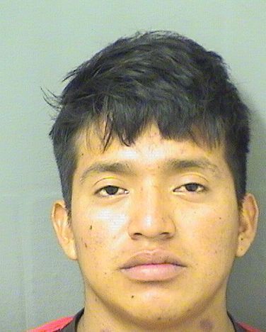  NELSON LOPEZGERONIMO Results from Palm Beach County Florida for  NELSON LOPEZGERONIMO