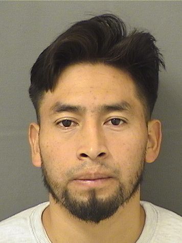  PEDRO L DIEGOLEONZO Results from Palm Beach County Florida for  PEDRO L DIEGOLEONZO