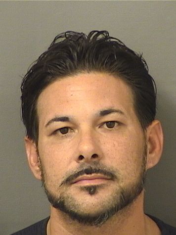  ANIEL VALLADARES Results from Palm Beach County Florida for  ANIEL VALLADARES