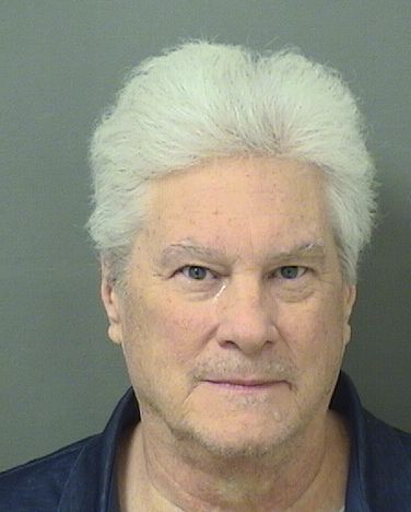  ROBERT GOLDSTEIN Results from Palm Beach County Florida for  ROBERT GOLDSTEIN