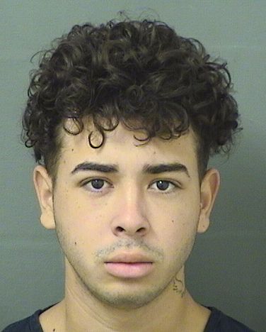  JUSTIN JASSIR CAMBARLARA Results from Palm Beach County Florida for  JUSTIN JASSIR CAMBARLARA