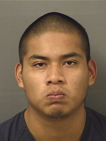  JOHNNY DELEONRAMIREZ Results from Palm Beach County Florida for  JOHNNY DELEONRAMIREZ