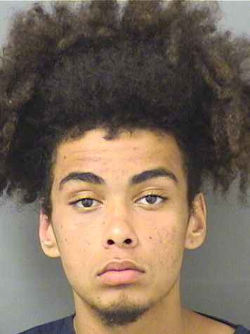  JOSHUA WYRE Results from Palm Beach County Florida for  JOSHUA WYRE