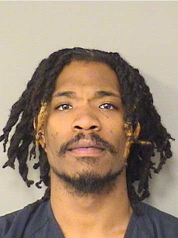  WAYNA DAVIS Results from Palm Beach County Florida for  WAYNA DAVIS