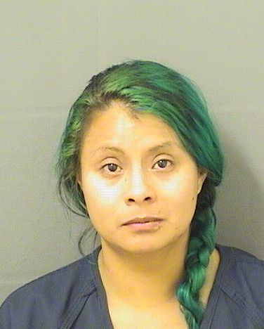  MICHELLE NATALIA JACOMEMARTINEZ Results from Palm Beach County Florida for  MICHELLE NATALIA JACOMEMARTINEZ