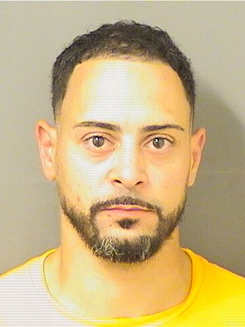  ALEXANDER PETER TREJO Results from Palm Beach County Florida for  ALEXANDER PETER TREJO