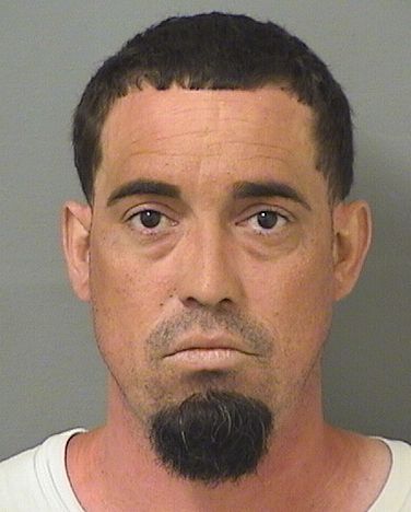  MARCO ANIBAL CONCEPCIONALDIVA Results from Palm Beach County Florida for  MARCO ANIBAL CONCEPCIONALDIVA