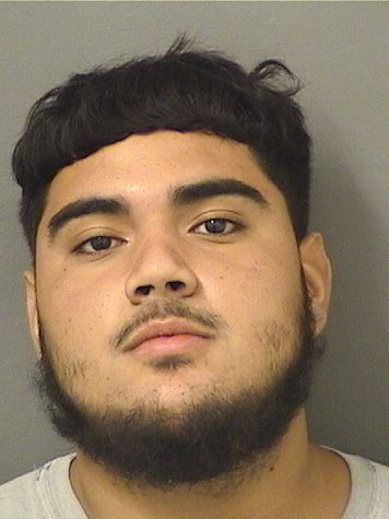  EDWIN MANZANO Results from Palm Beach County Florida for  EDWIN MANZANO