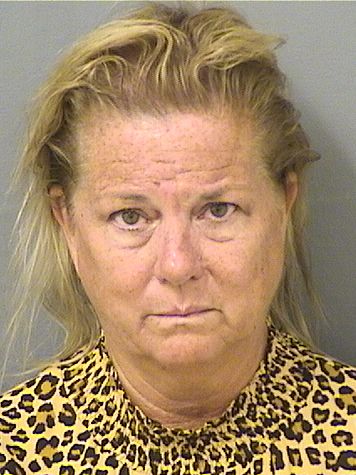  TRACY SCHNEIDER Photo For  TRACY SCHNEIDER