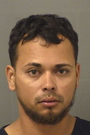  JOSE CANDIDO NUNEZREYES Results from Palm Beach County Florida for  JOSE CANDIDO NUNEZREYES