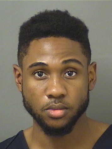  AARON STEPHEN SIMPSON Results from Palm Beach County Florida for  AARON STEPHEN SIMPSON