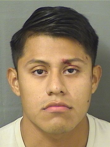  CHRISTIAN THOMAS SOTOVELASQUEZ Photo