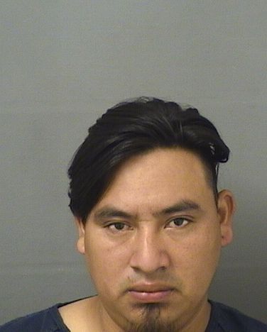  MARCO ALFONSO SALESSANCHEZ Photo For  MARCO ALFONSO SALESSANCHEZ