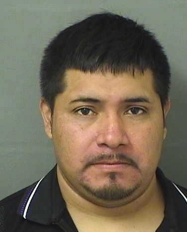  GILBERTO SEBASTIANFRANCISCO Results from Palm Beach County Florida for  GILBERTO SEBASTIANFRANCISCO