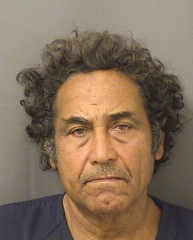  LUIS SILVAGNOLIDIAZ Results from Palm Beach County Florida for  LUIS SILVAGNOLIDIAZ