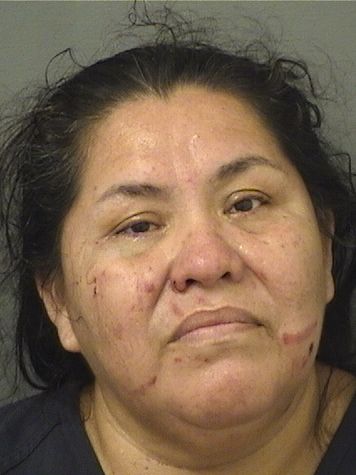  RUTH CIFUENTESCABRERA Resultados de la busqueda para Palm Beach County Florida para  RUTH CIFUENTESCABRERA