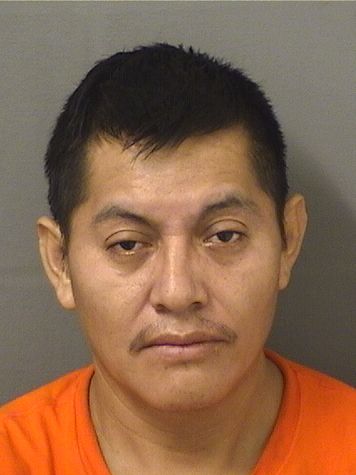  WALTER MAURICIO REYNOSAPEREZ Results from Palm Beach County Florida for  WALTER MAURICIO REYNOSAPEREZ