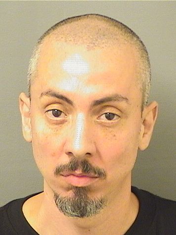  MARK ANTHONY MORENO Results from Palm Beach County Florida for  MARK ANTHONY MORENO