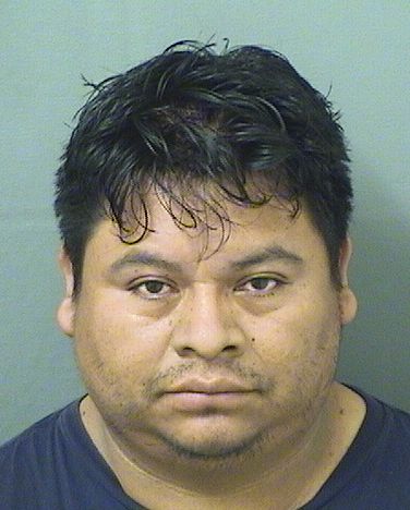  ANIVAL RUBEN DOMINGOLOPEZ Results from Palm Beach County Florida for  ANIVAL RUBEN DOMINGOLOPEZ