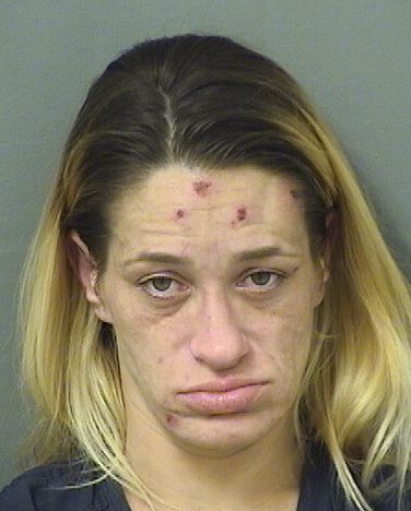  AMY LINK Results from Palm Beach County Florida for  AMY LINK