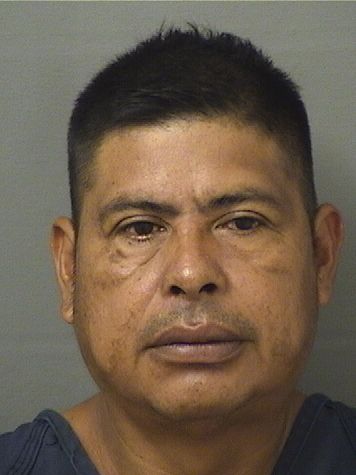  ANTONIO FLORENCIO CARDONAMONTEJO Results from Palm Beach County Florida for  ANTONIO FLORENCIO CARDONAMONTEJO