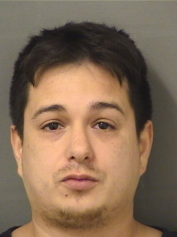  GABRIEL ALEJANDRO PALERMO Results from Palm Beach County Florida for  GABRIEL ALEJANDRO PALERMO