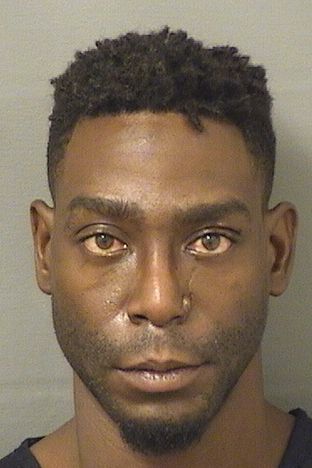  SHELDON MARTIN NELSON Results from Palm Beach County Florida for  SHELDON MARTIN NELSON