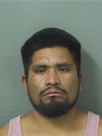  MANUEL JIMENEZHERNANDEZ Results from Palm Beach County Florida for  MANUEL JIMENEZHERNANDEZ