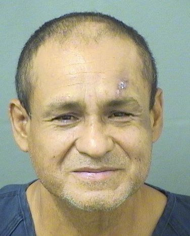  FREDY ROBERTO CUBIAS Results from Palm Beach County Florida for  FREDY ROBERTO CUBIAS