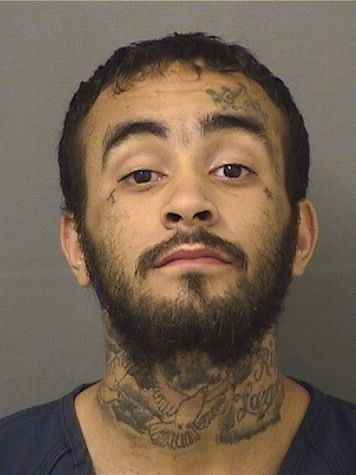  RICHARD MARCHECOBATISTA Results from Palm Beach County Florida for  RICHARD MARCHECOBATISTA