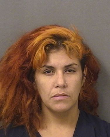  ALEXANDRA LYN DORAN Resultados de la busqueda para Palm Beach County Florida para  ALEXANDRA LYN DORAN