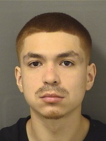  ETHAN ELIJAH SAINTALBIN Results from Palm Beach County Florida for  ETHAN ELIJAH SAINTALBIN