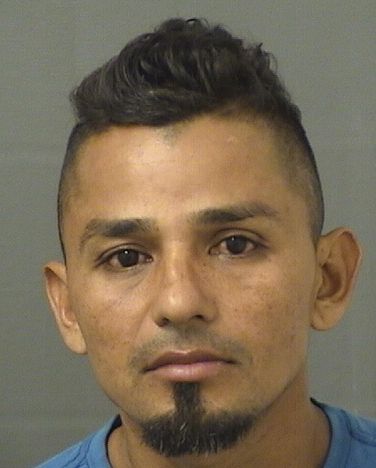  EVER TORRESESCOBAR Results from Palm Beach County Florida for  EVER TORRESESCOBAR