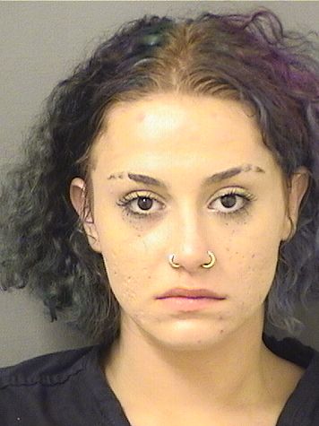  YASMEEN ALI ABLA Results from Palm Beach County Florida for  YASMEEN ALI ABLA