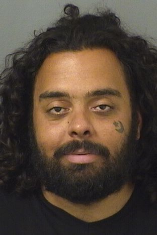  BRANDON THOMAS POUNDS Results from Palm Beach County Florida for  BRANDON THOMAS POUNDS