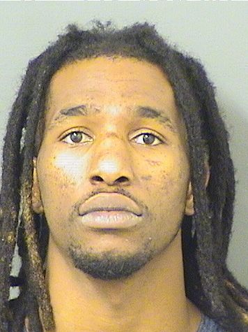  ROBERT DEVANTE JOHNSON Resultados de la busqueda para Palm Beach County Florida para  ROBERT DEVANTE JOHNSON