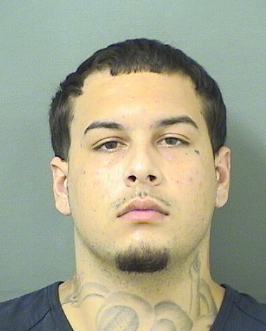  CHRISTIAN N FIELD Results from Palm Beach County Florida for  CHRISTIAN N FIELD