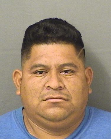 JUAN FELIPEDOMINGO Results from Palm Beach County Florida for JUAN FELIPEDOMINGO JUAN FELIPEDOMINGO Results from Palm Beach County Florida for JUAN FELIPEDOMINGO
